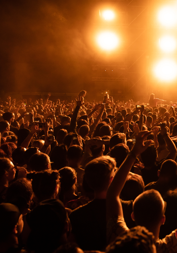 back-view-crowd-fans-watching-live-performance-music-concert-night-copy-space 1